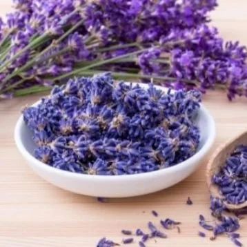 Calming Your Nerves: The Benefits of Lavender Oil