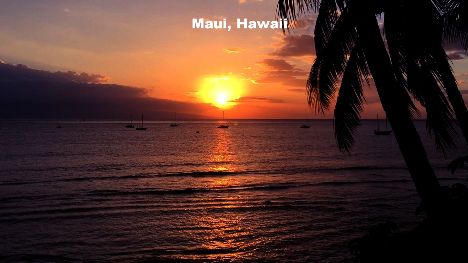 Maui_Hawaii.jpg