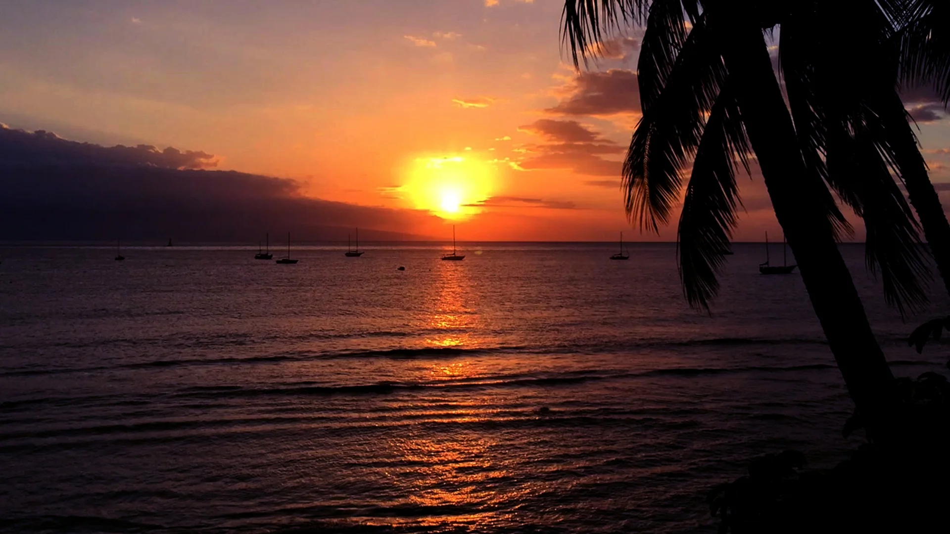 Maui_Hawaii.jpg