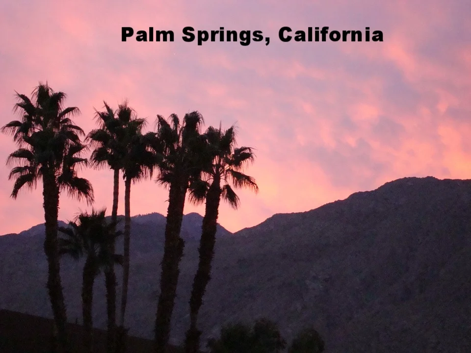 palm-springs-198917_960_720.jpg