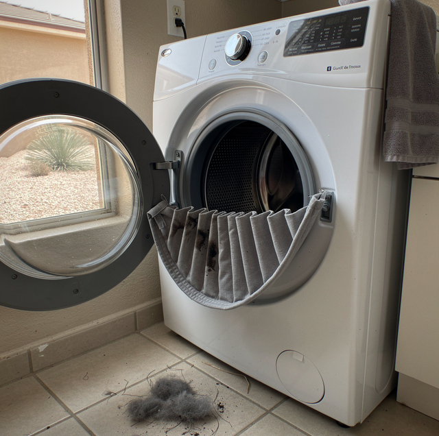 Why Does My Front-Load Washer Smell Musty? The Real Cause
