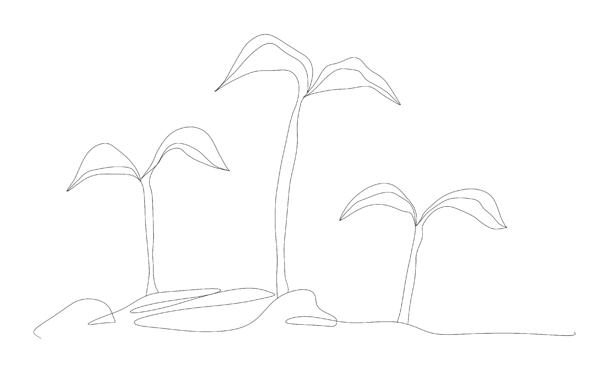 Sprout(1).png