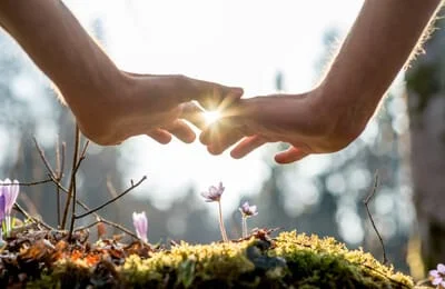 therapies-holistic-healing.jpg
