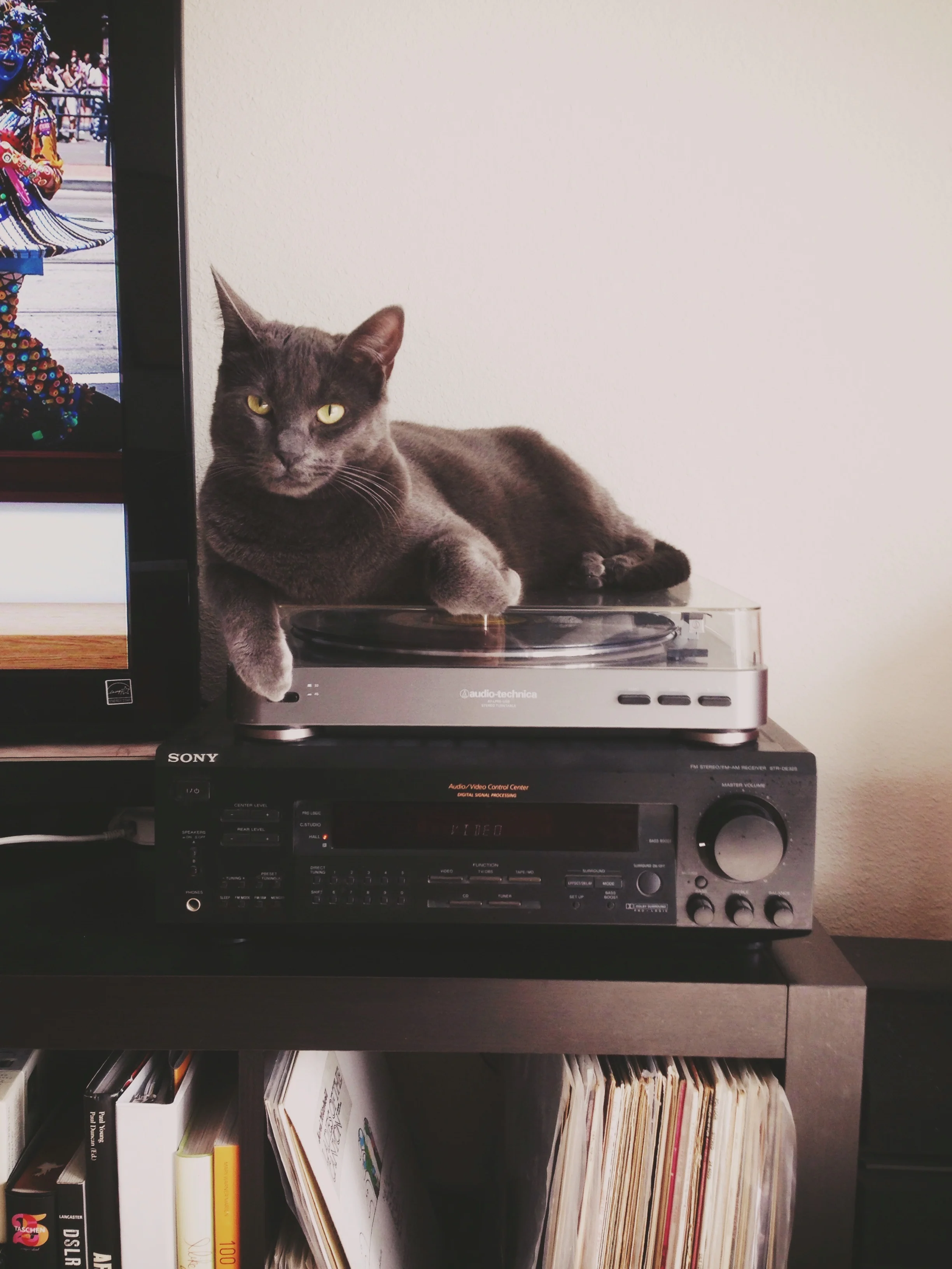 DJ Kickstand Kitty