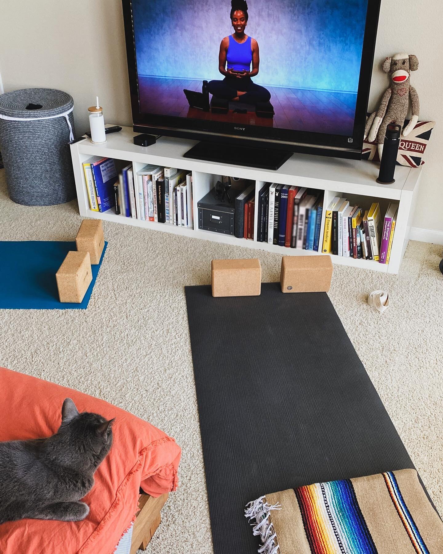 Favorite part of every week is doing #yoga with my lady&mdash;and Dr. Chelsea Jackson Roberts!!! Even the cats want in. She has THE BEST energy. ❤️ @chelsealovesyoga please, more funk yoga??? 🙏
