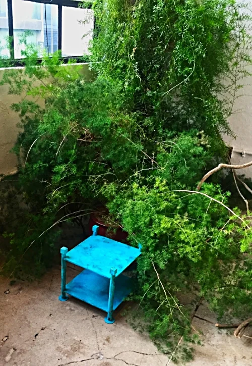 Telephone Table Garden .jpeg