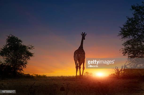 Photo by stillwords/iStock / Getty Images