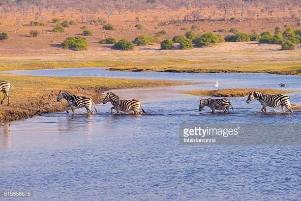 Photo by fabio lamanna/iStock / Getty Images