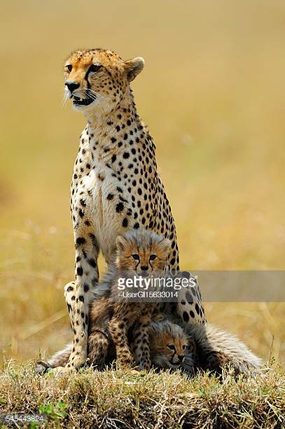 Photo by ~UserGI15633014/iStock / Getty Images