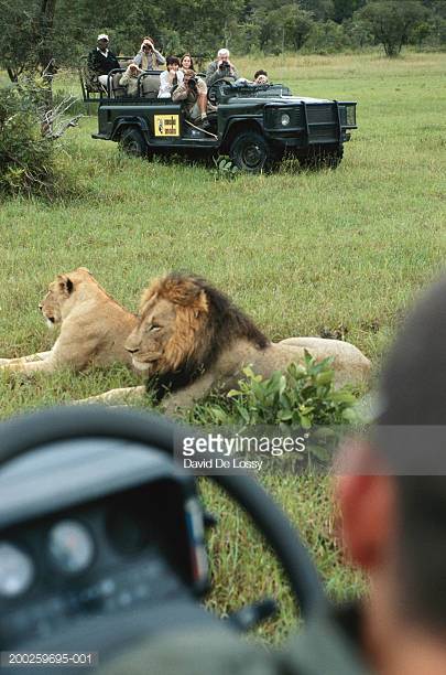 Photo by David De Lossy/Photodisc / Getty Images