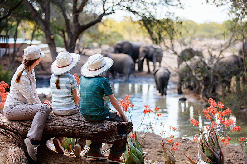 Personalized_Safari_Adventure_4.jpg