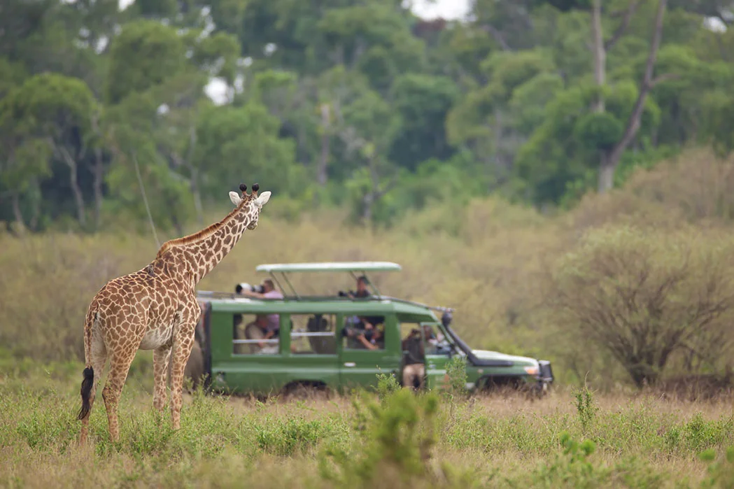 Luxury_Travel_Safari7.jpg