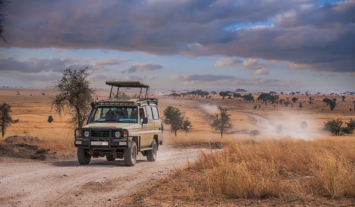 Safari_Luxury_Trip_6.jpg