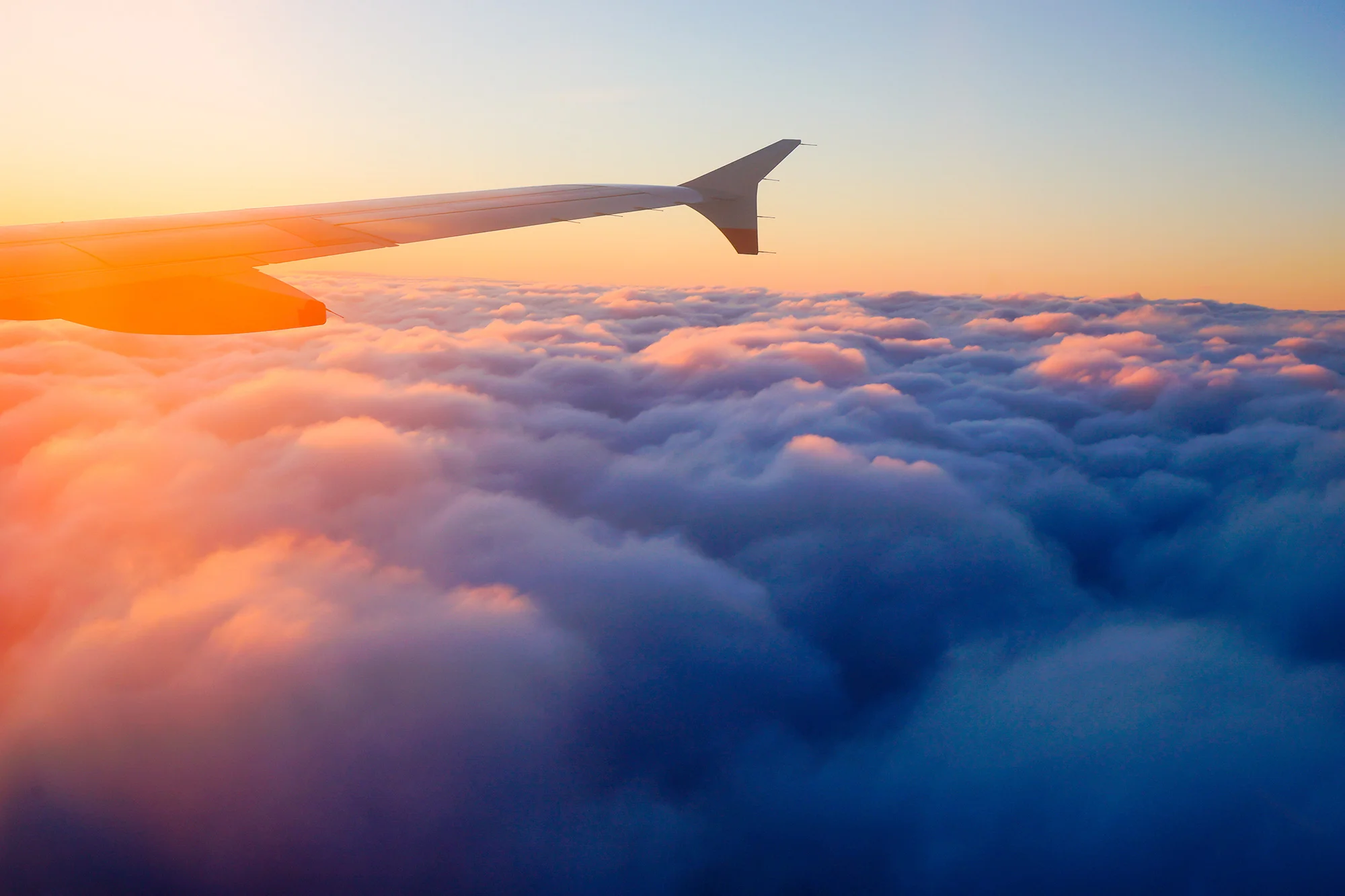 iStock-484616224_WEB.jpg