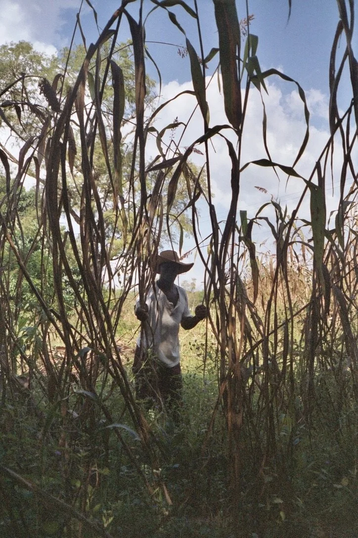 oh, Mali... (18 Sep 2003)