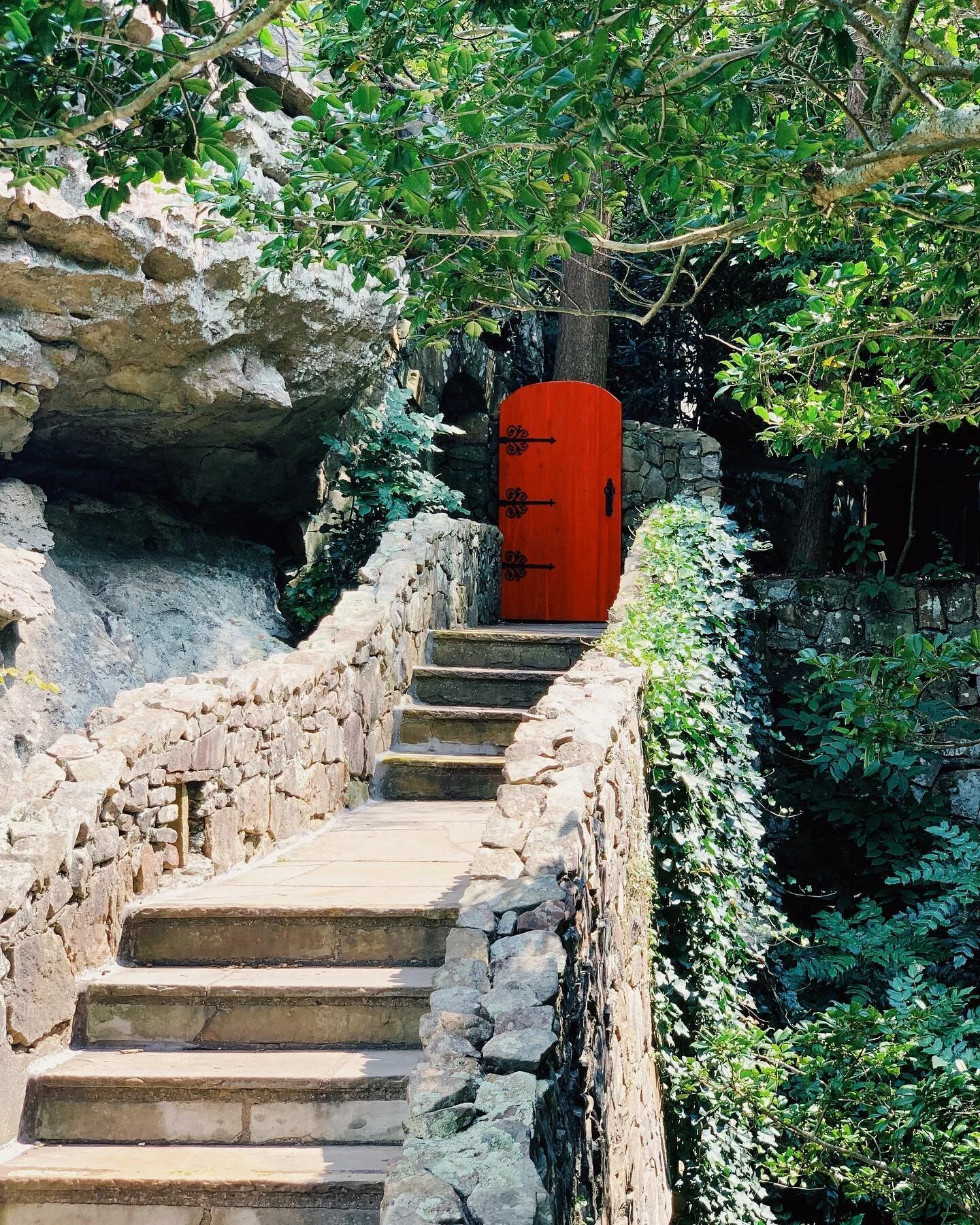 Secret garden 🌺 
#tenessee #garden #lookoutmountain #georgia #rockcity #mountain #greenery #vines #door #nature #tree #travel #stairs #stone #cave #vacation #summer #2019