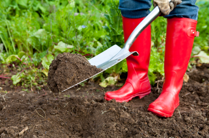 digging.jpg