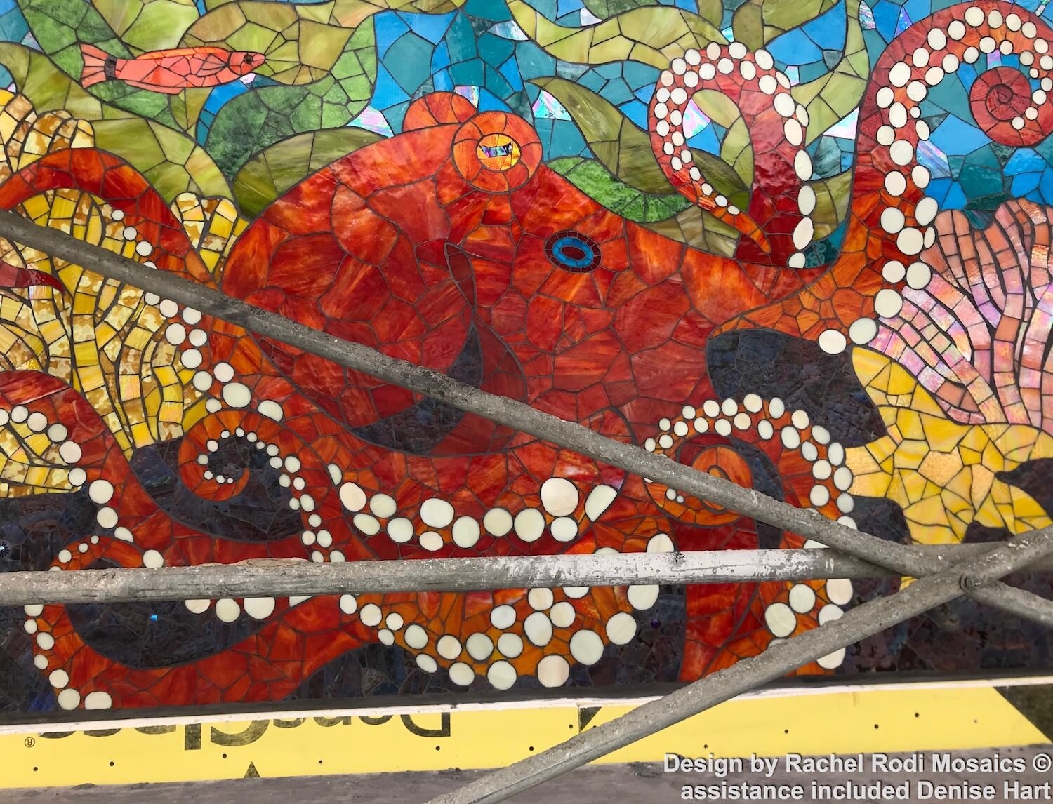 Mosaic studio assistant — Denise Hart Studio