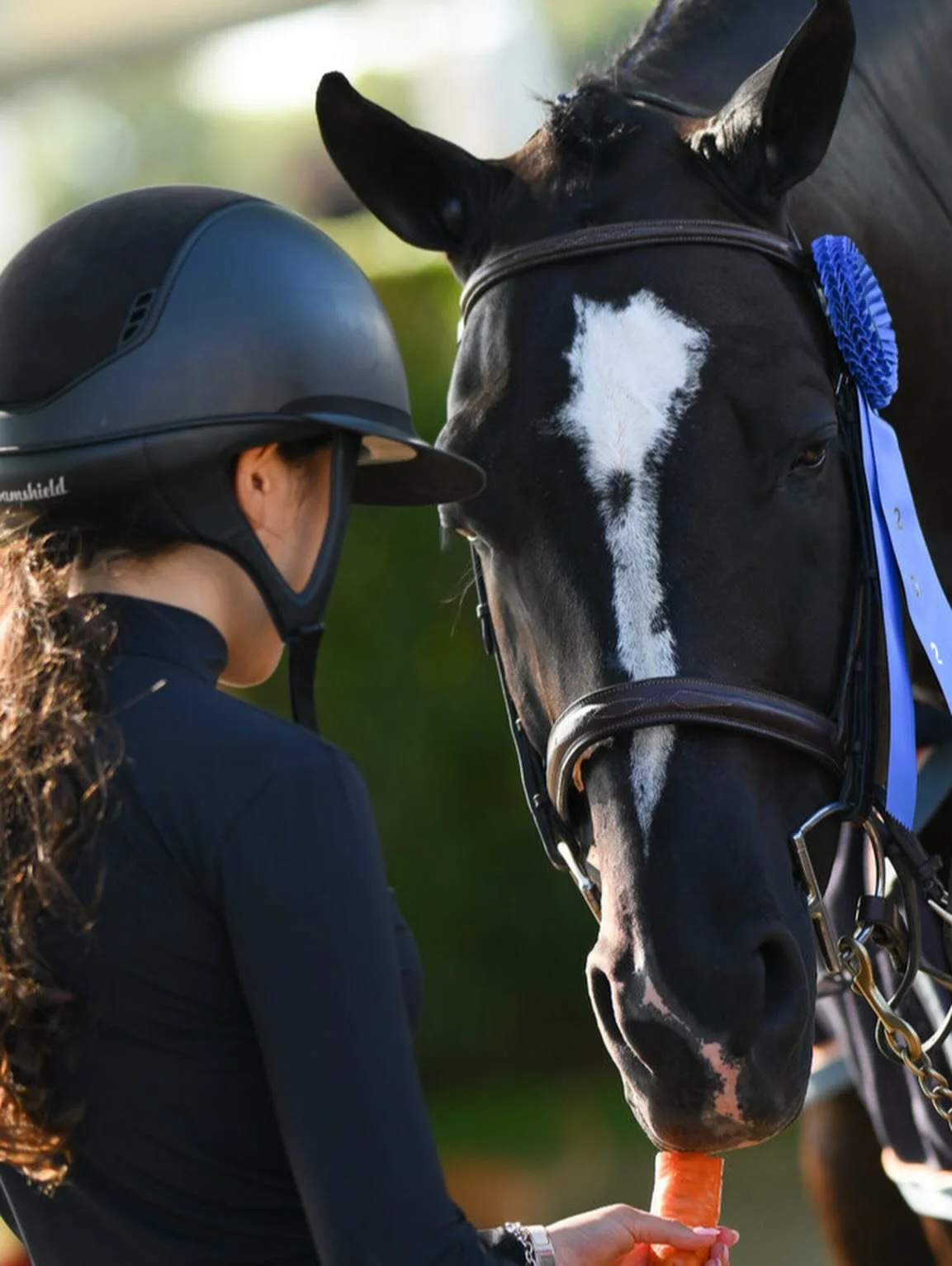 To say we love and appreciate our horses is an understatement…. We are so lucky to have these special horses to be a part of our lives!