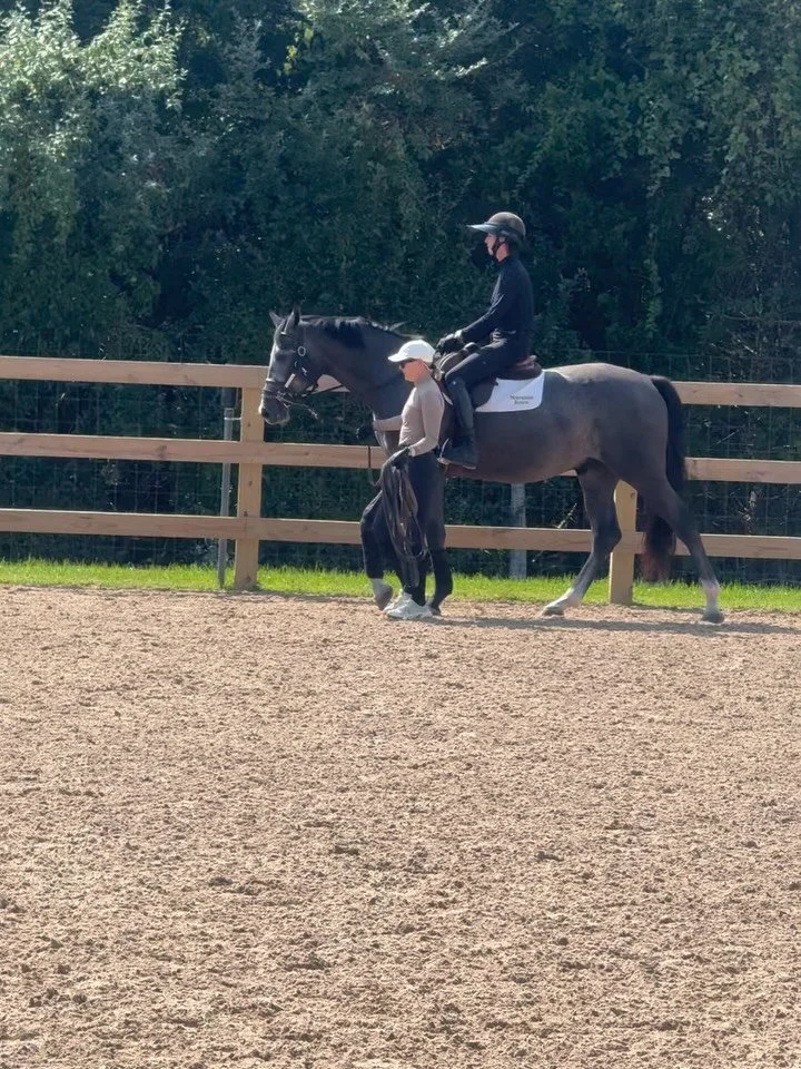To say I’m proud of our boys is an understatement! Today, first day with me on their backs was a great start to a long journey. Ollie and Finn have lived between us and Kate Macphail since they were born and are so well rounded. Thank you Newsh