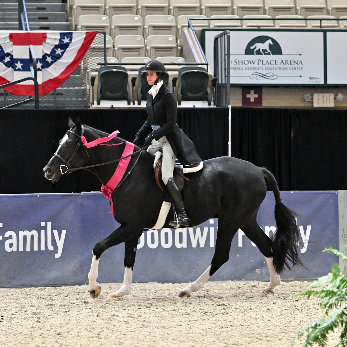 Congrats to Merry Harding & SOANE 🖤 on their Top 12 finish in the WCHR Developing Pro Challenge! Such a great accomplishment for the pair’s only second competition together! Thank you to Natalia McCarthy for the ride on this special horse