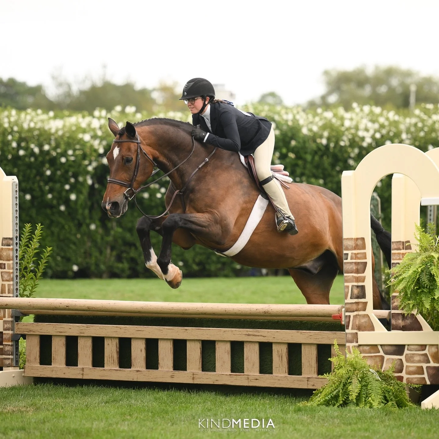 🔷 PROUDLY OFFERED FOR LEASE 🔷
🔹 UTOO DE ROTON
- “Bono” is an 18 year old warmblood gelding, super saintly 2’6 Packer type. He won all summer in the Low Children’s, including Hampton Classic. Very dependable and straightfor
