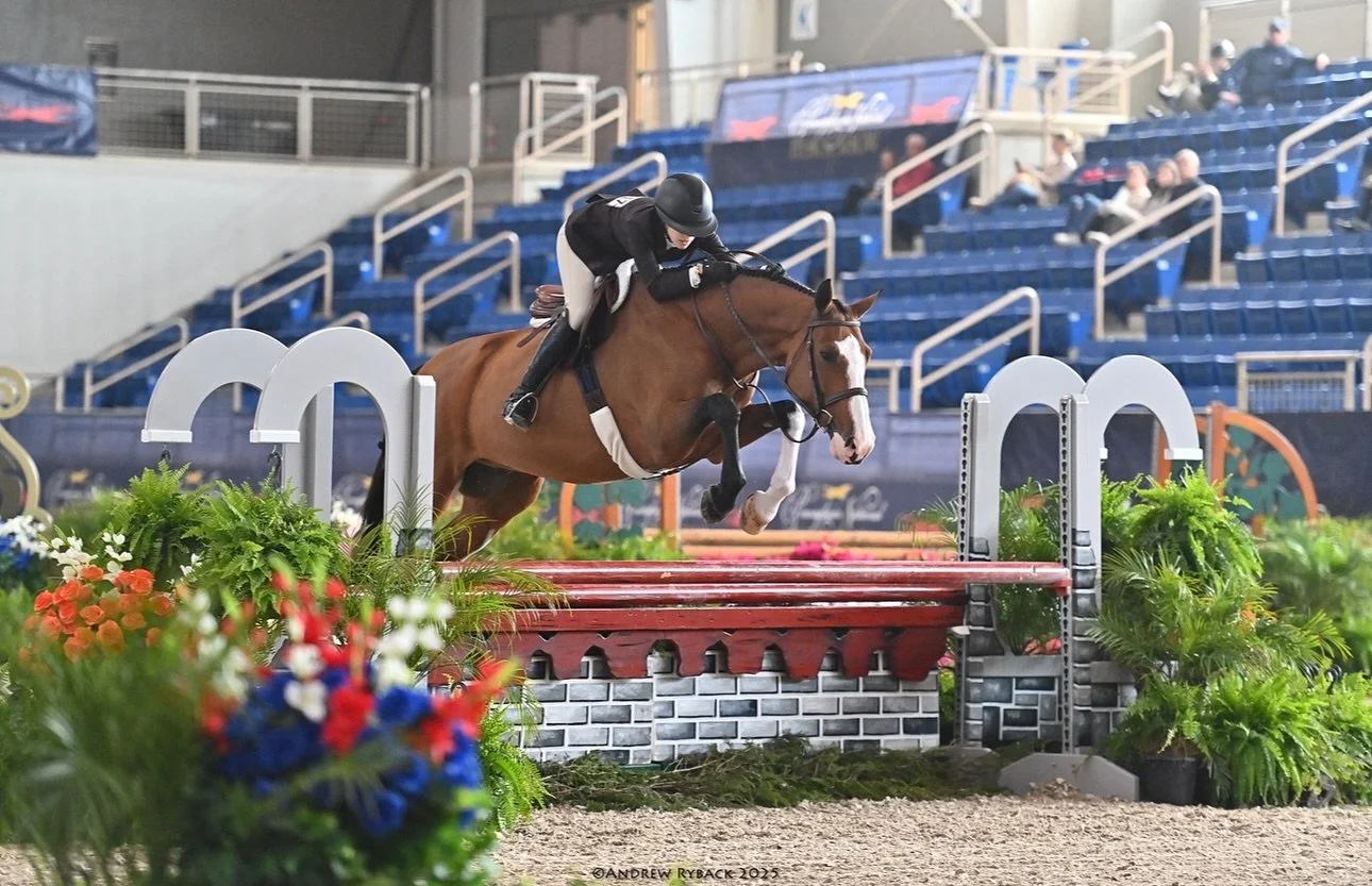 Great riding from Natalia McCarthy & Positano this week at @panationalhs 🙌🏻 They had great rides in the Junior 3’3 15&U, earning multiple ribbons overfences! 
📸; @andrewrybackphotography