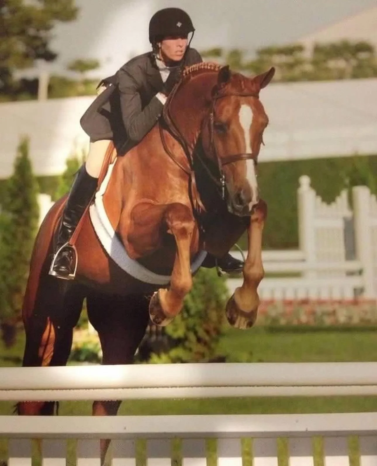 Billy the legend 🧡 This horse of a life time is returning to Joe and Missy’s for winter break! I’m so lucky to get to spend Billy’s retirement with him, he’s the one that got away but 20 years later we were reunited again.