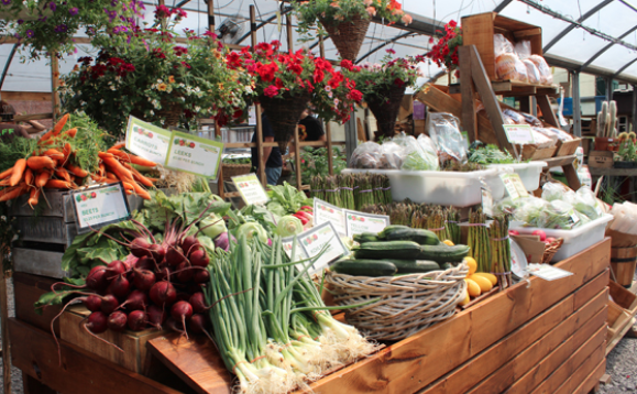 Screen Shot 2018-03-16 at 11.10.37 PM.png