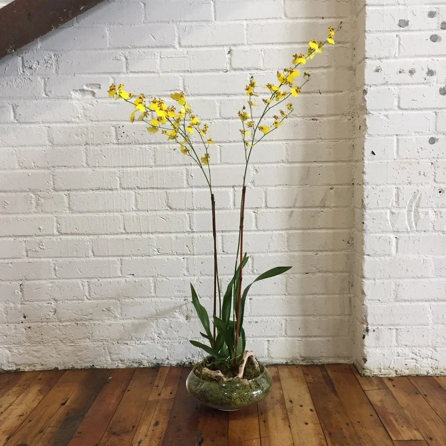 Planted Terrarium tabletop floral 