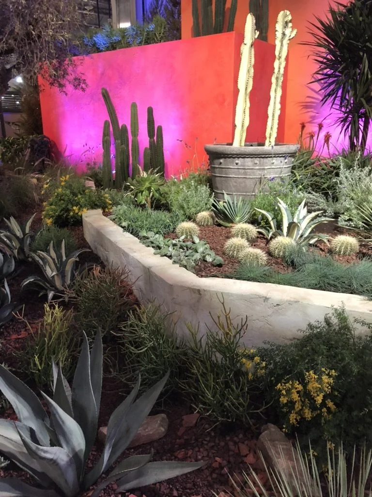 Plastered retaining walls for entry garden, PHS Flower show 