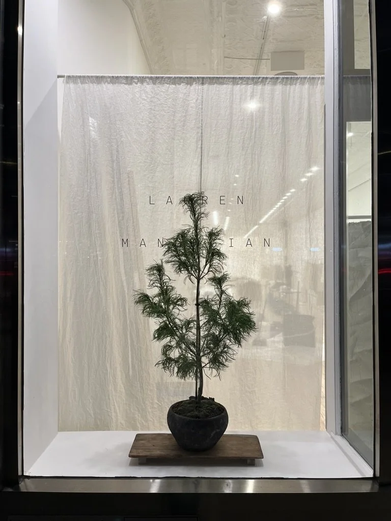 Holiday window in NYC