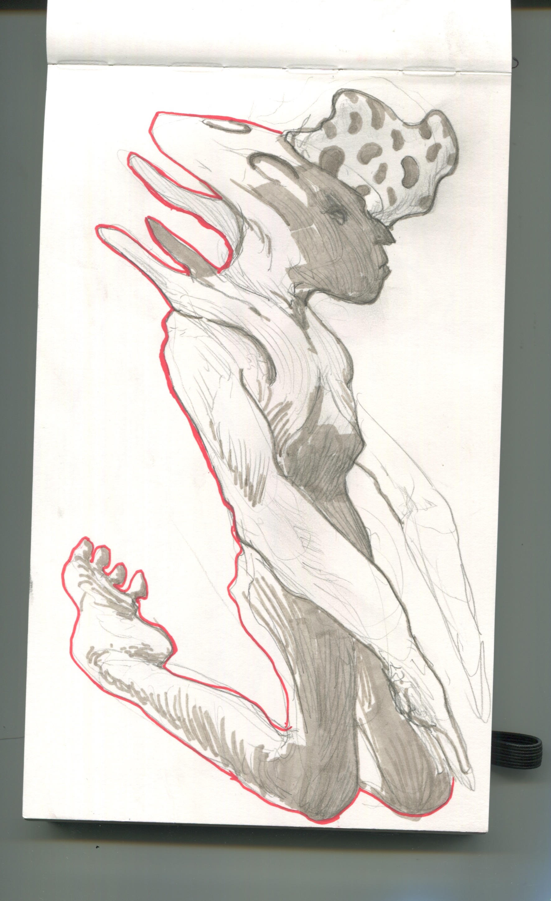 Scan 6.jpeg