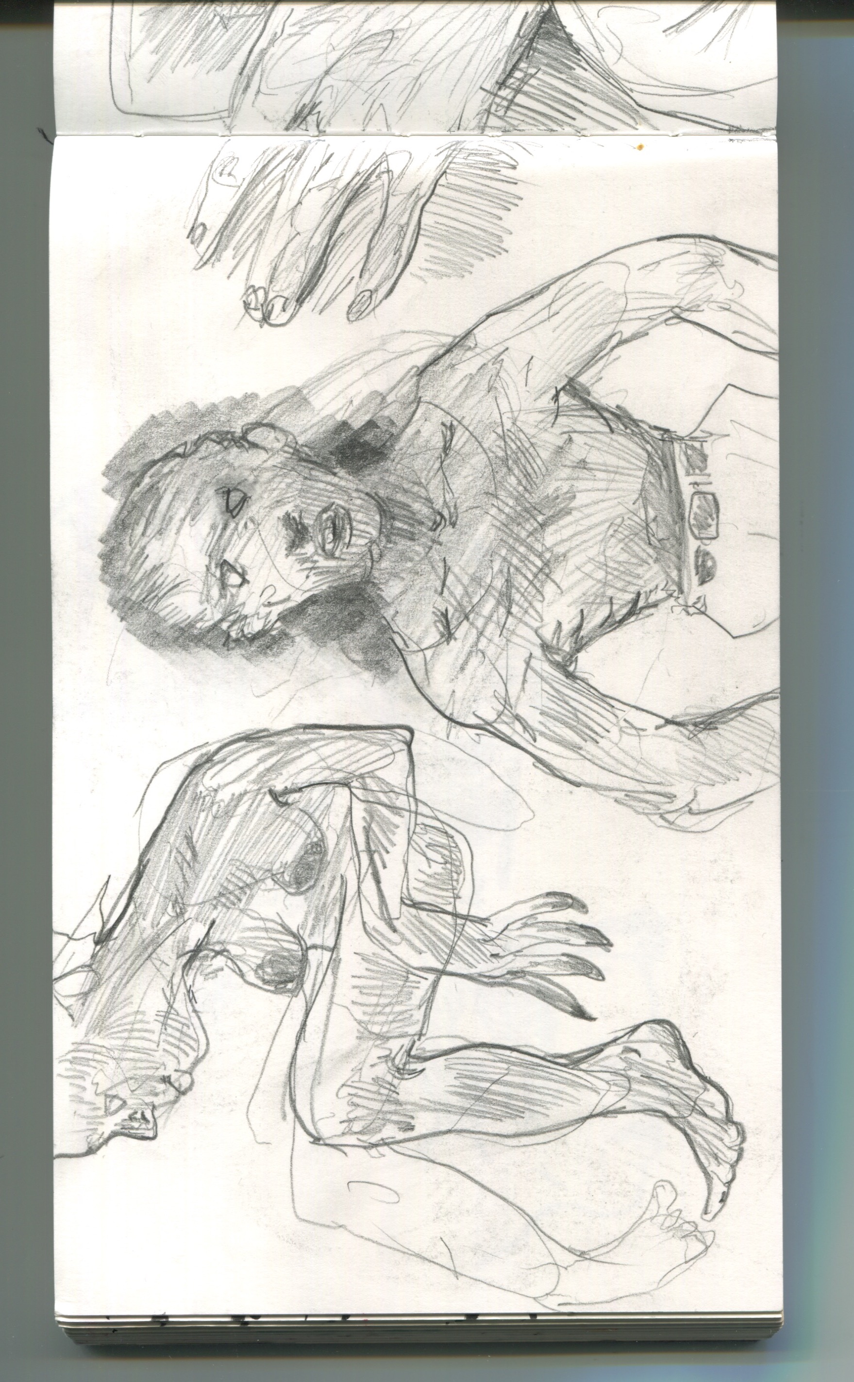 Scan 15.jpeg