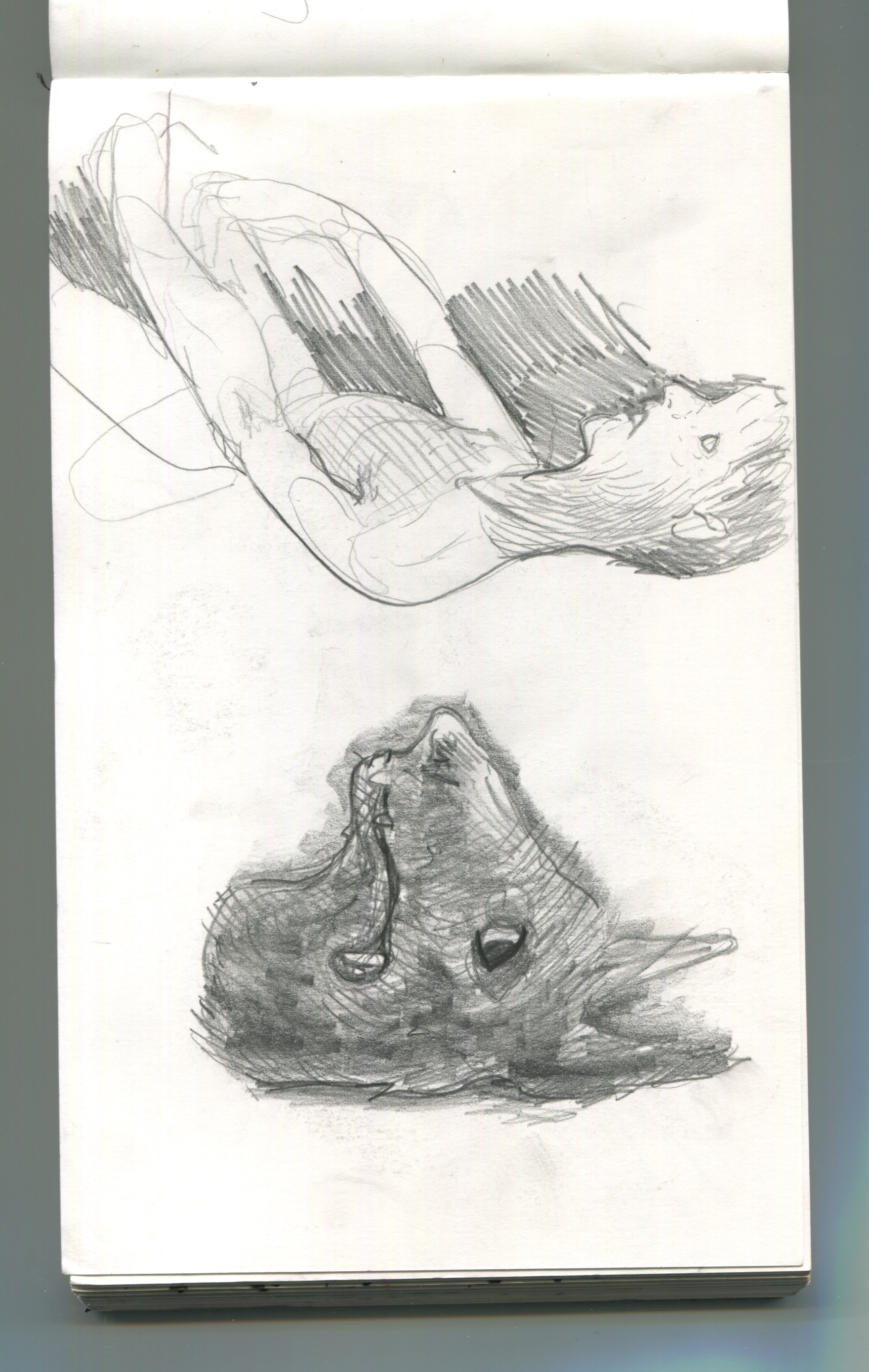 Scan 19.jpeg