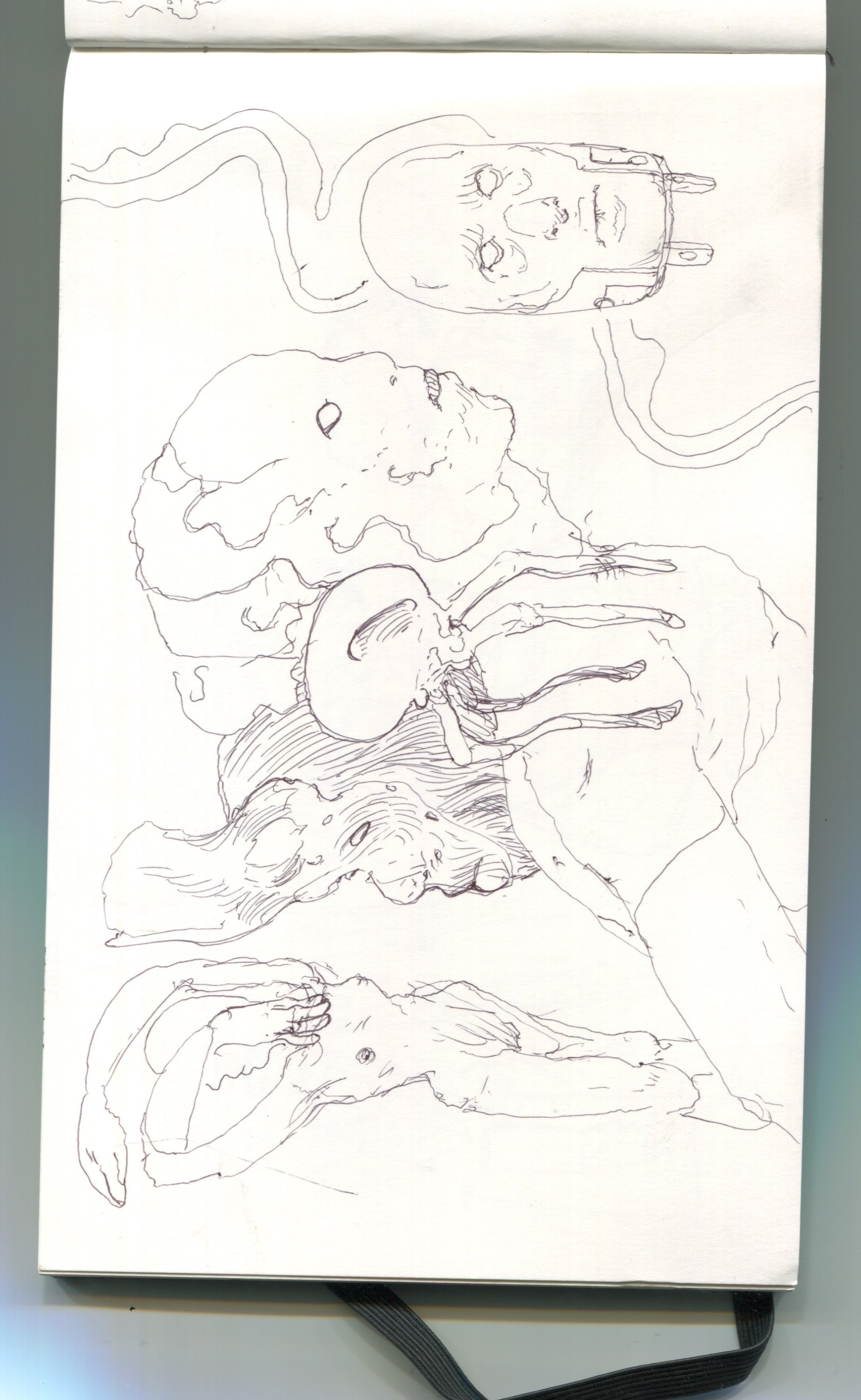 Scan 23.jpeg