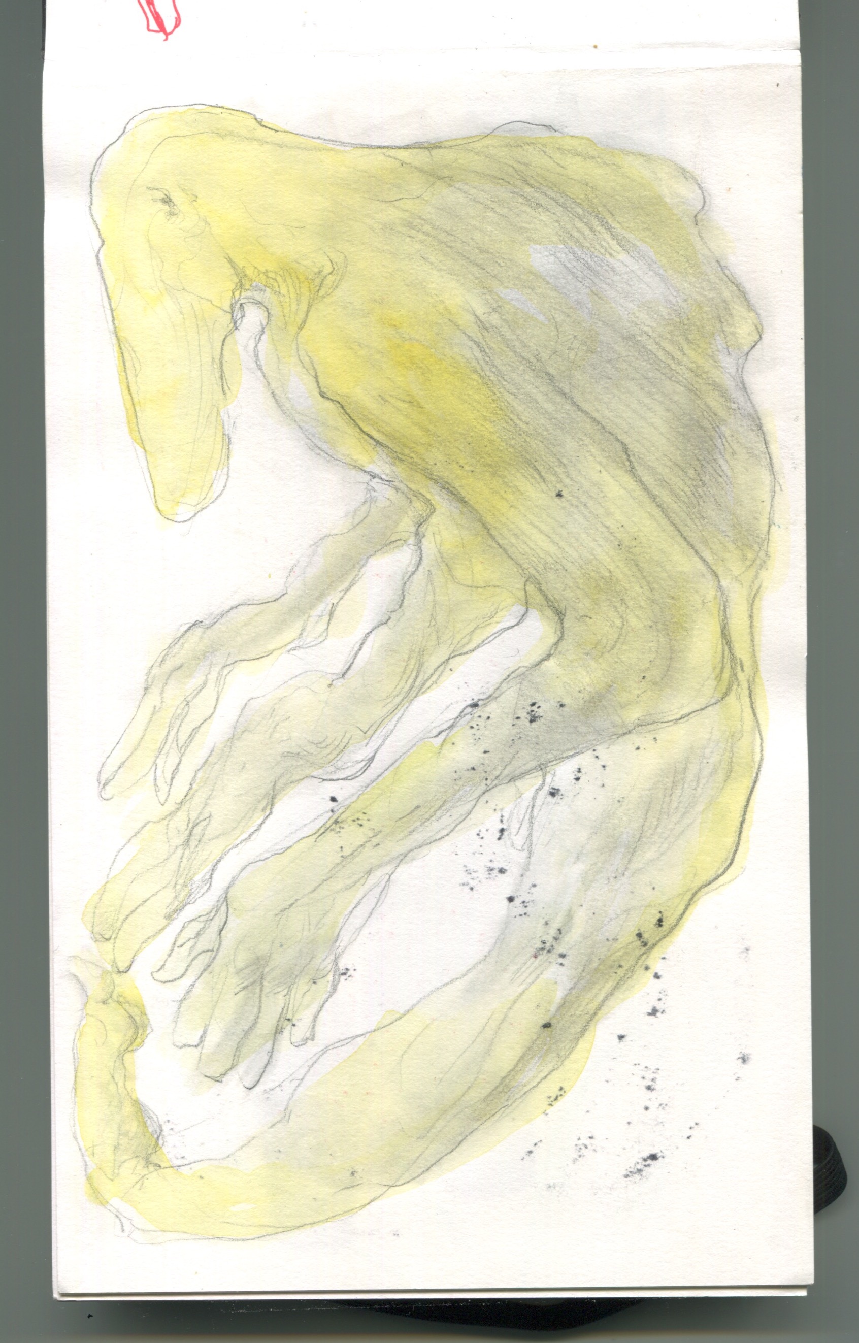 Scan 8.jpeg