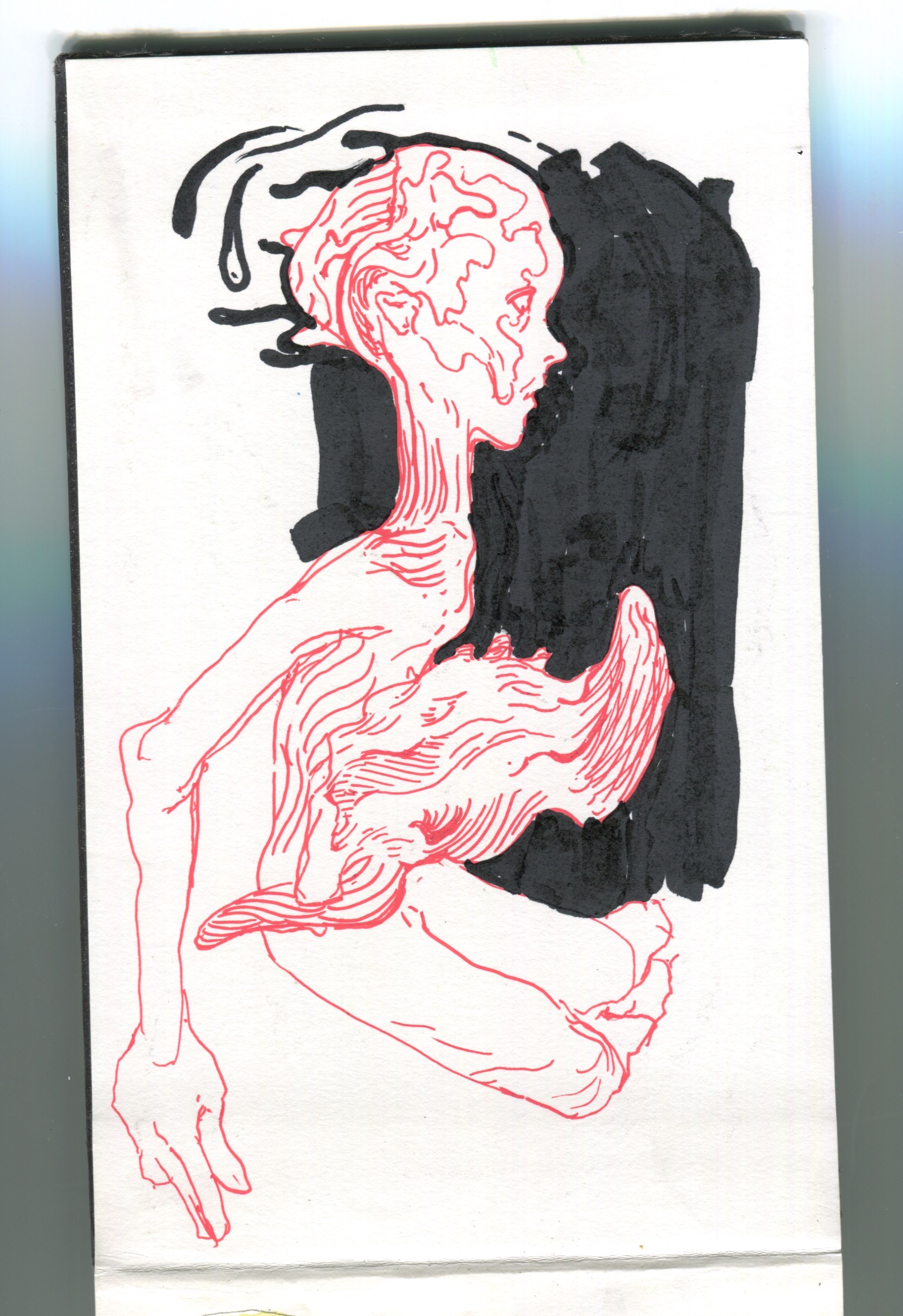 Scan 7.jpeg
