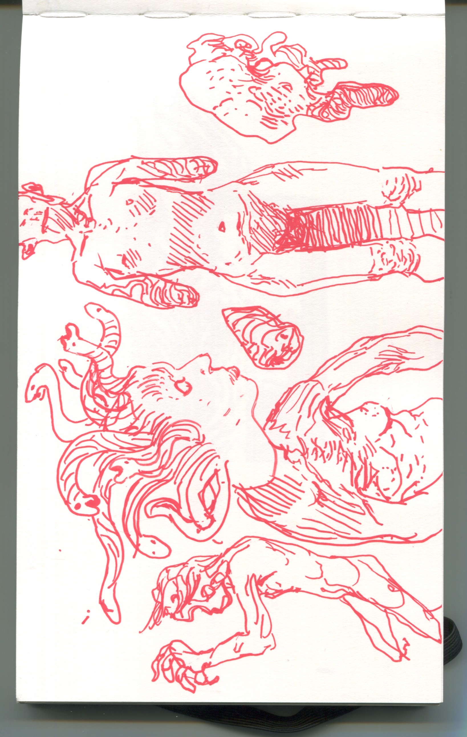 Scan 17.jpeg