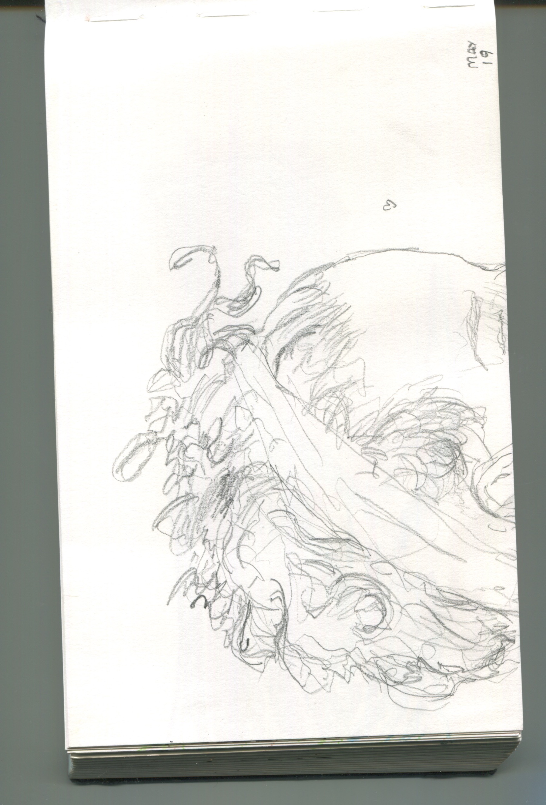 Scan 28.jpeg