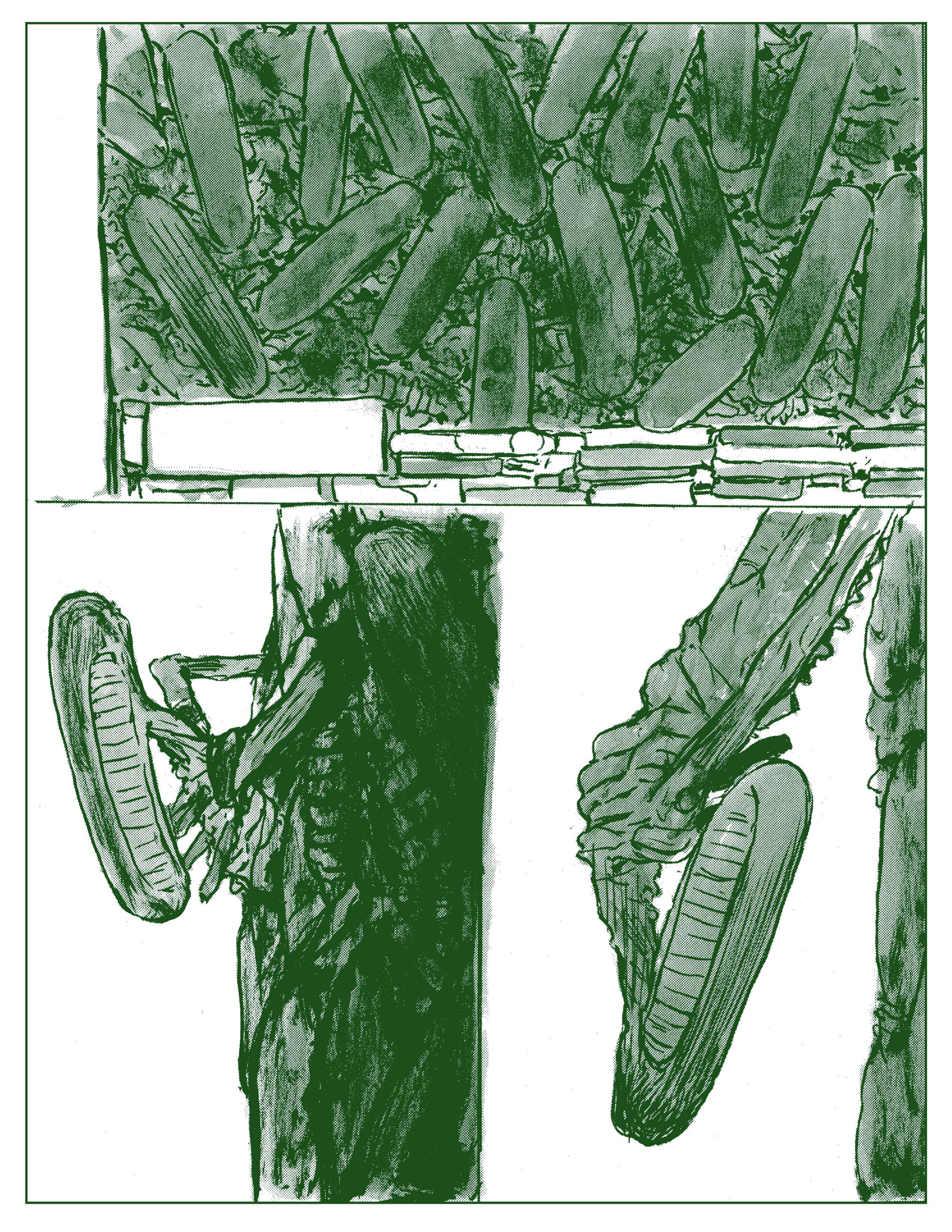 webxeno better or worse_6.png