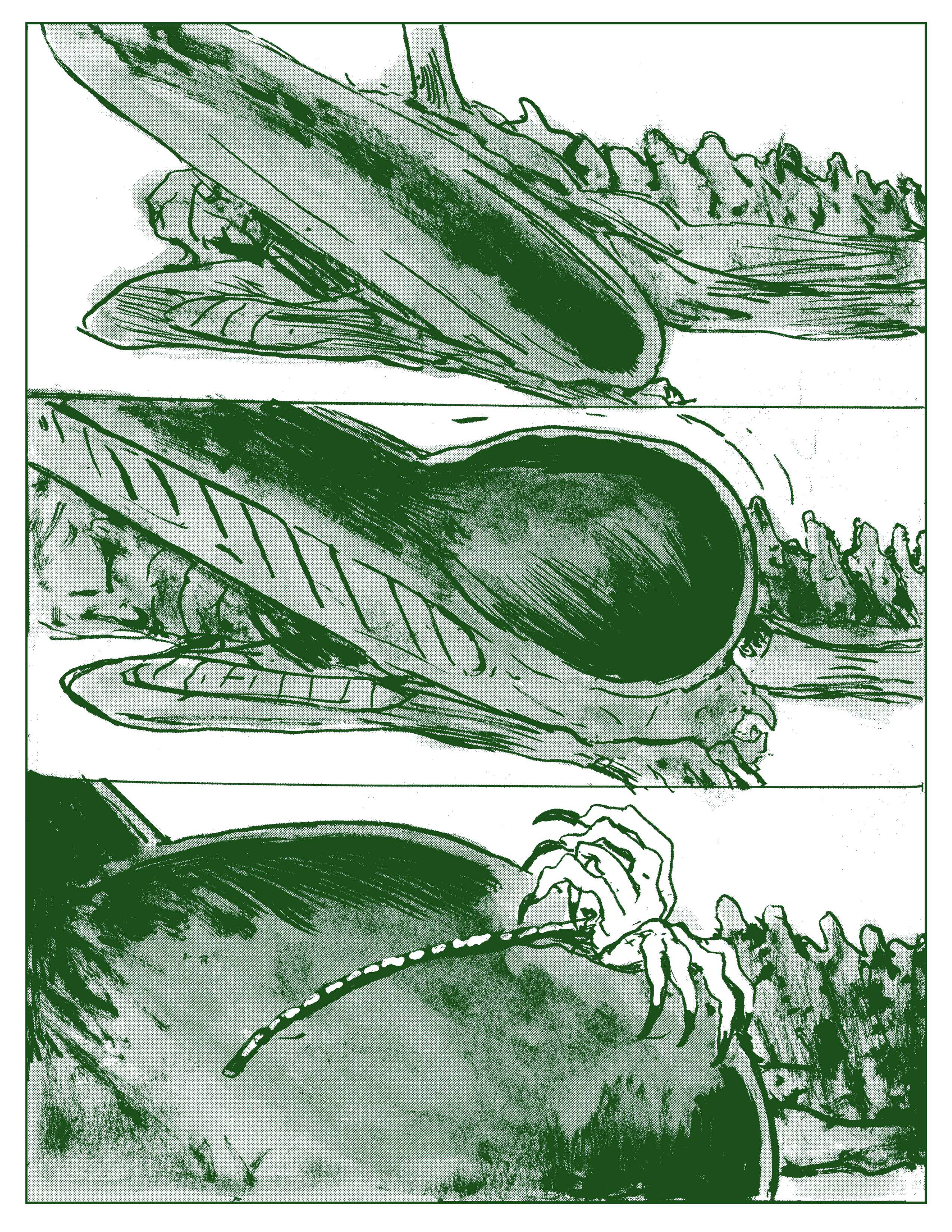 webxeno better or worse_22.png