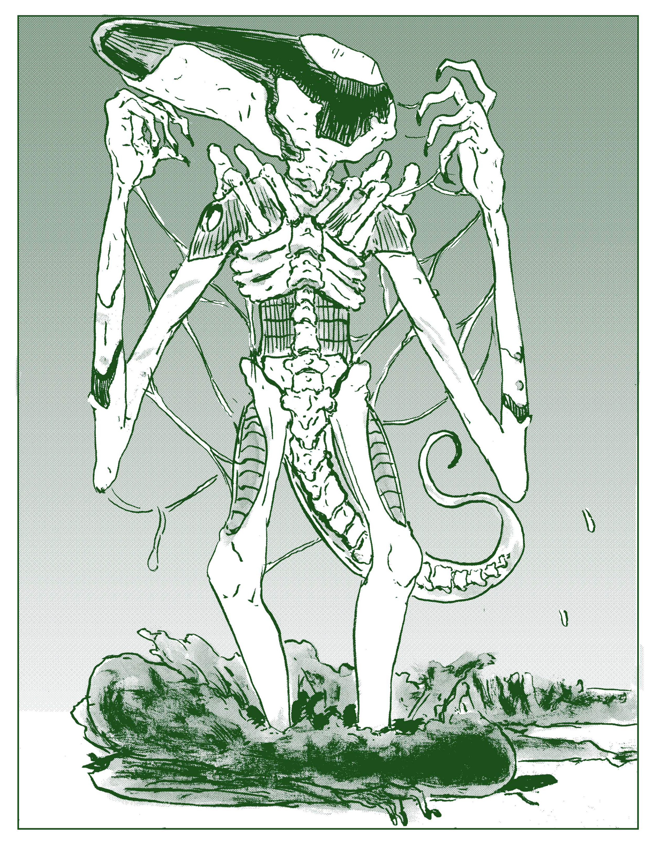 webxeno better or worse_23.png