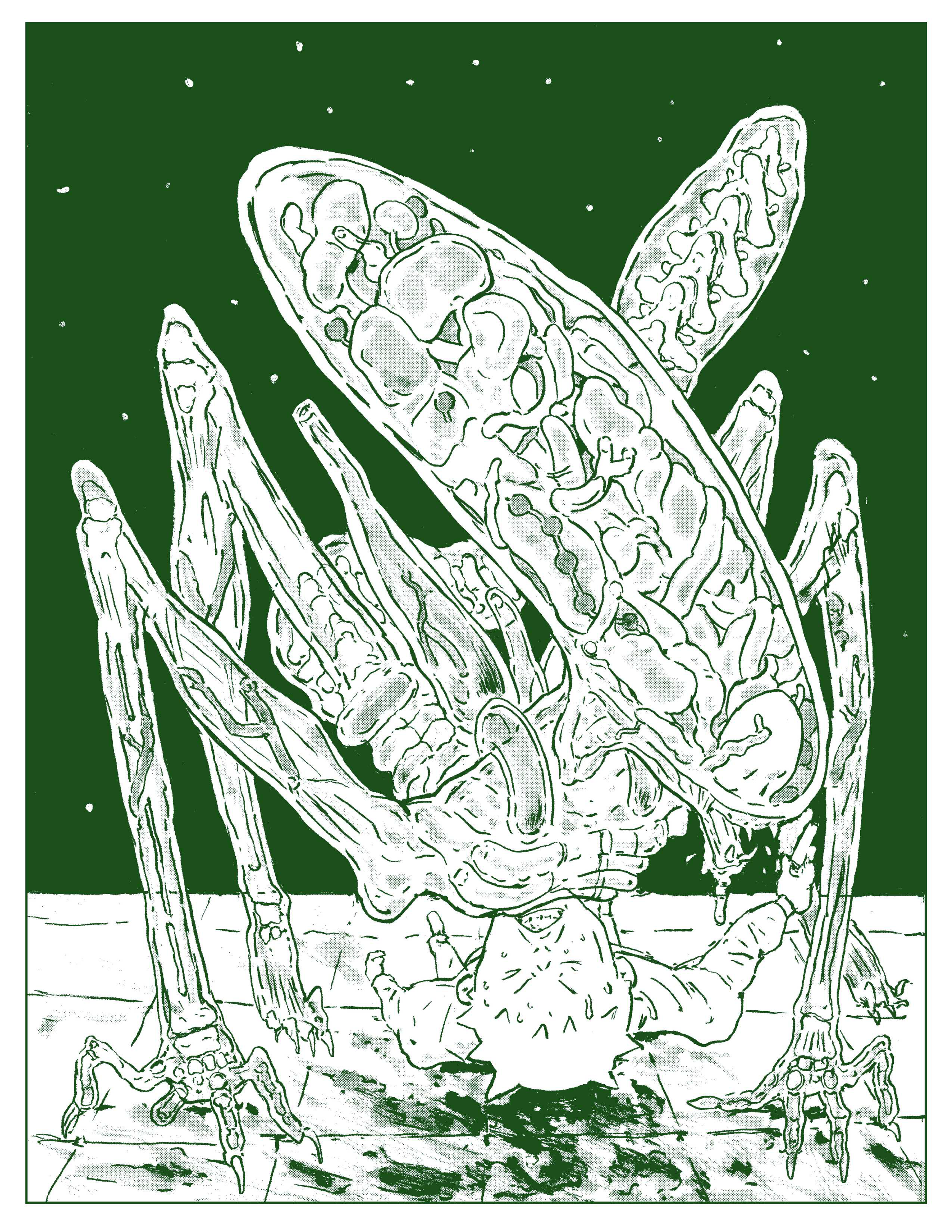 webxeno better or worse_29.png