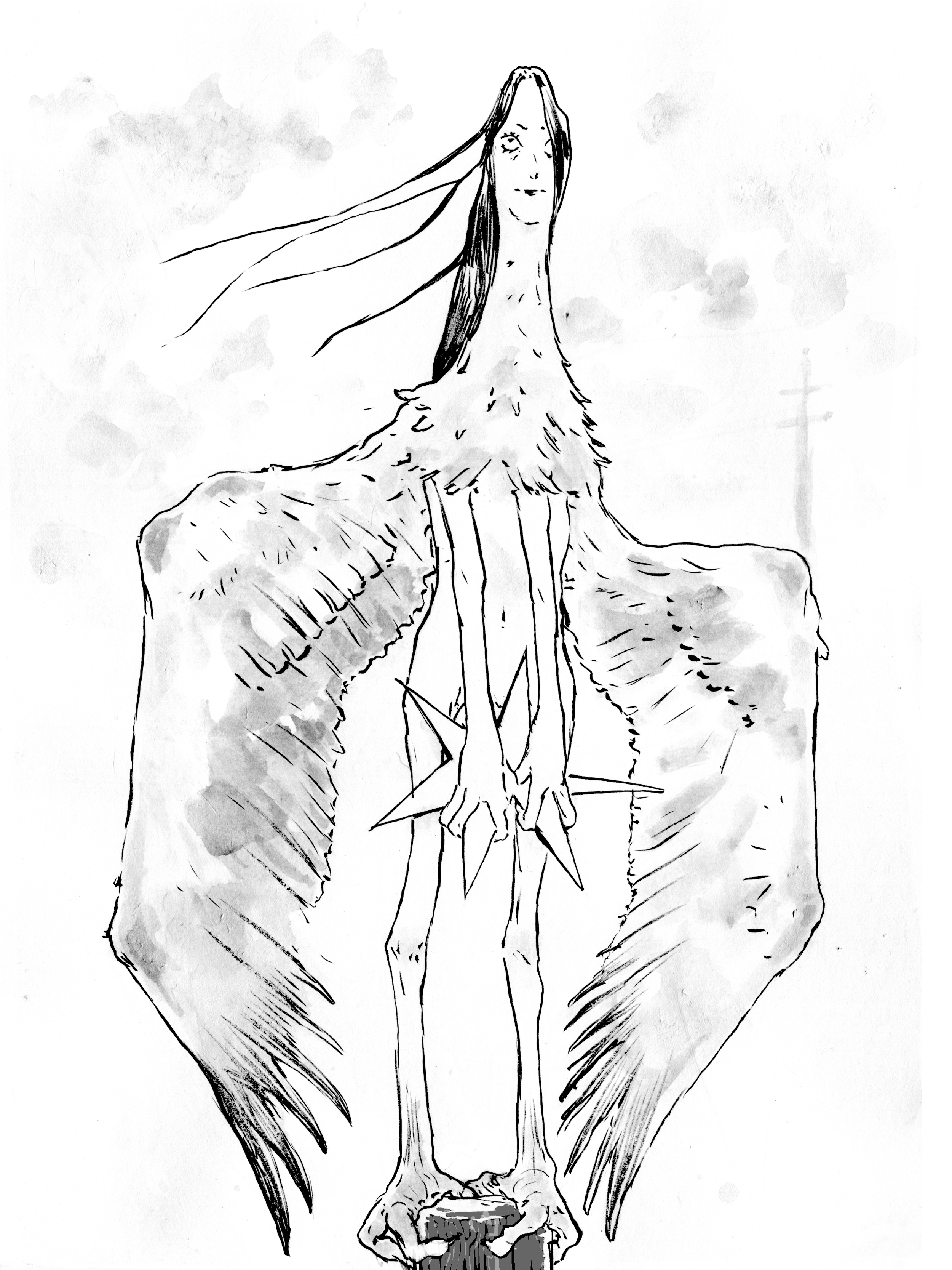 harpi cleaned up 2.png
