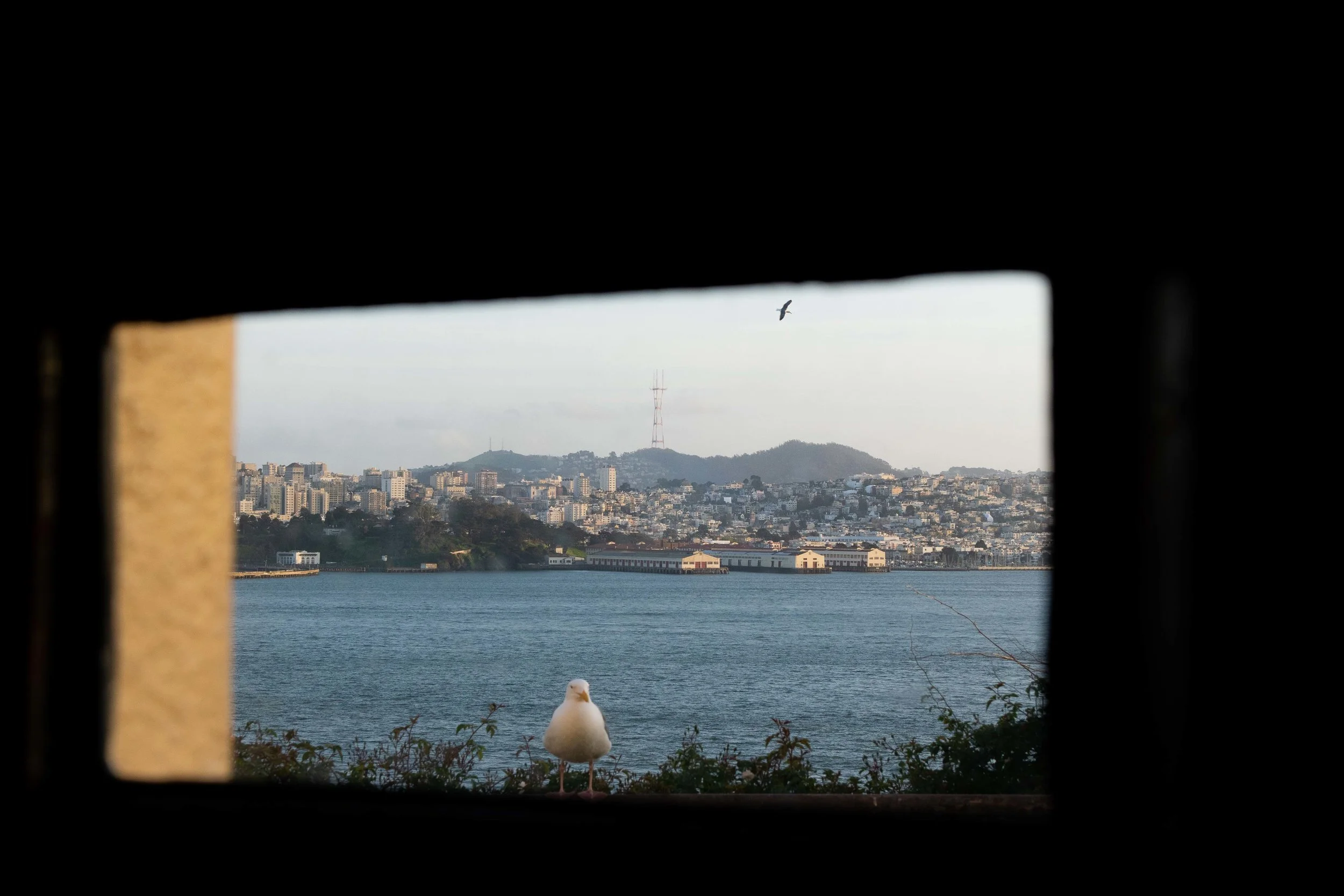 The view of San Francisco Bay from a tiny window in the prison.