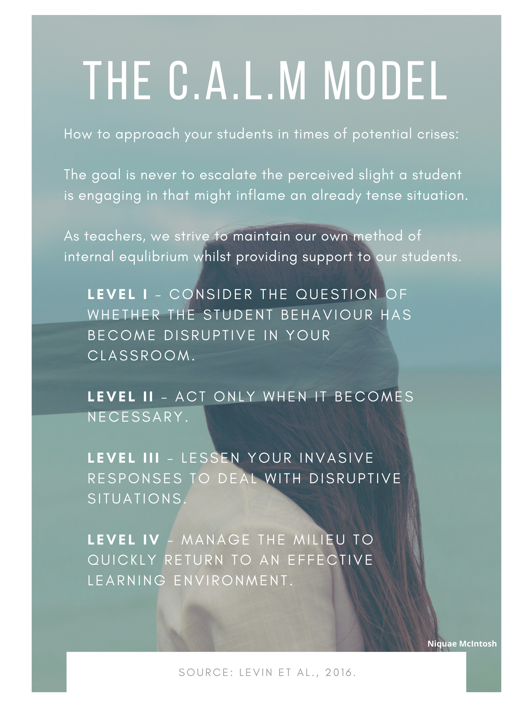 The CALM Model.
