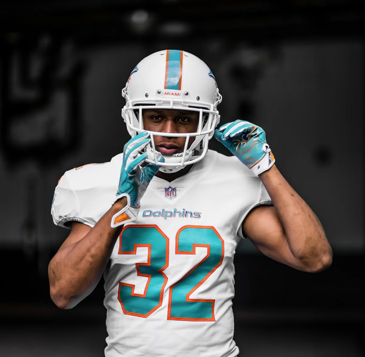 Miami Dolphins New Look