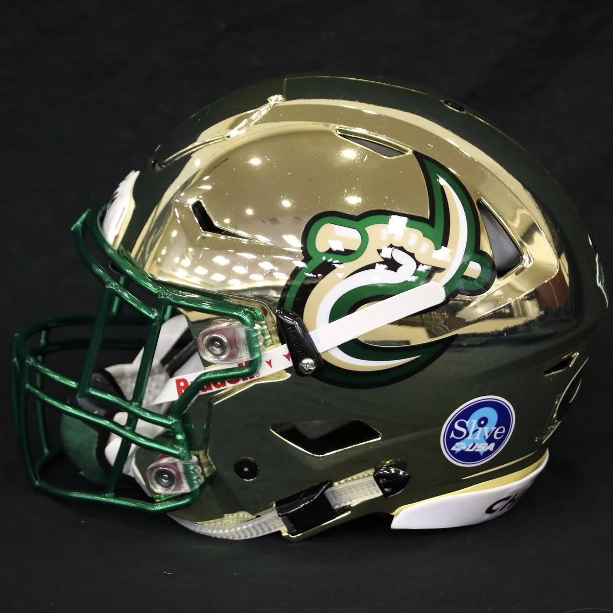 Charlotte Gold Chrome Helmets