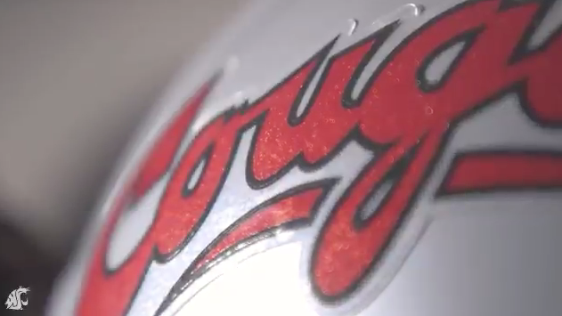 Washington State Script Helmets